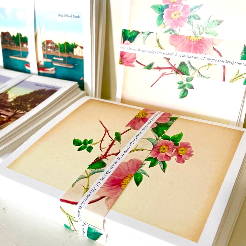 Photo of Wild Rose Notecards